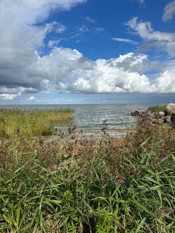 Тур в Калининград на 3 дня: замки и рыцари