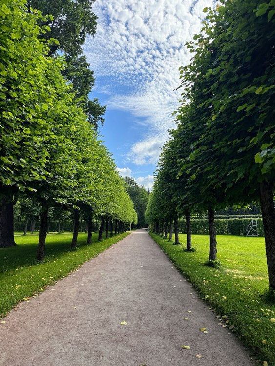 Санкт-Петербург: неочевидный и невероятный