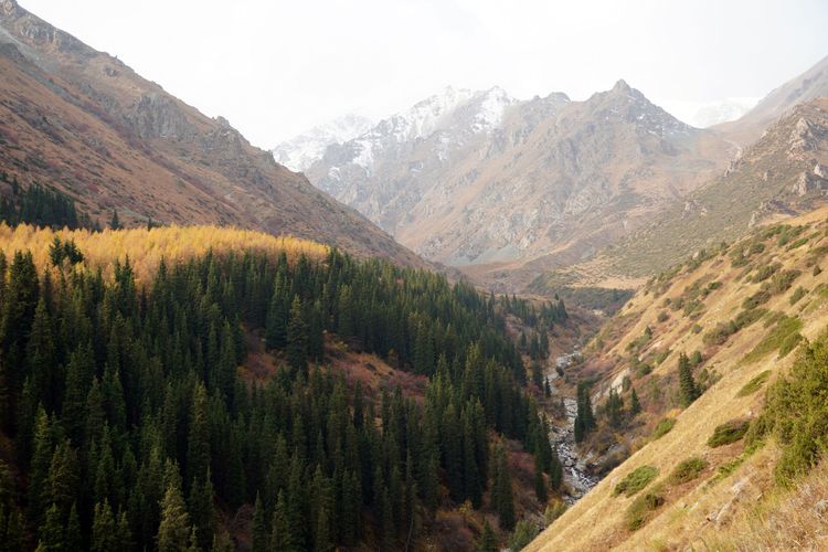 Выезд в Ала-Арчу и экскурсия по Бишкеку с посещением Музея
