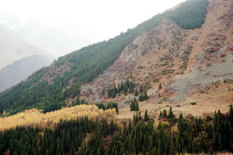 Выезд в Ала-Арчу и экскурсия по Бишкеку с посещением Музея