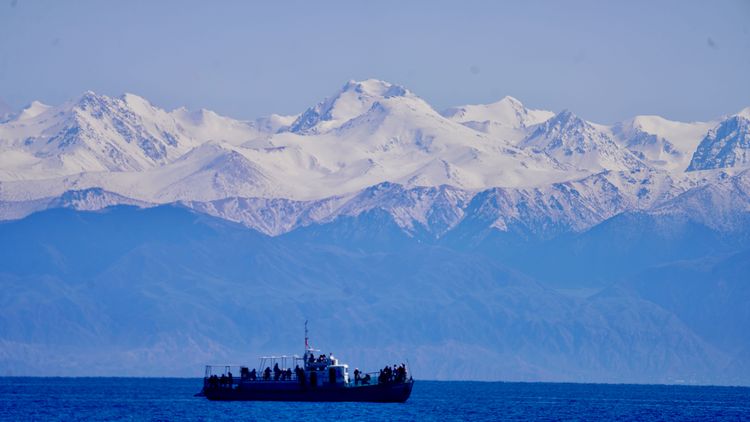 Маковые поля Киргизии. Весенний тур на озеро Иссык-Куль.