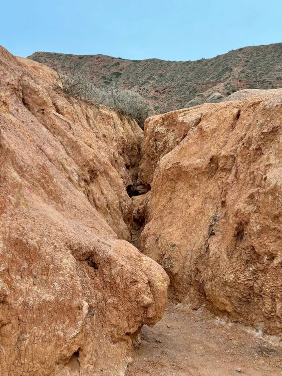 Маковые поля Киргизии. Весенний тур на озеро Иссык-Куль.