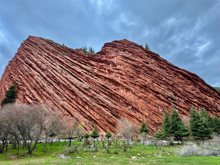 Маковые поля Киргизии. Весенний тур на озеро Иссык-Куль.