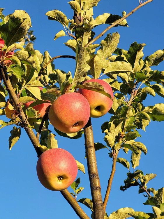 50 оттенков Киргизии. Тур по главным природным красотам.