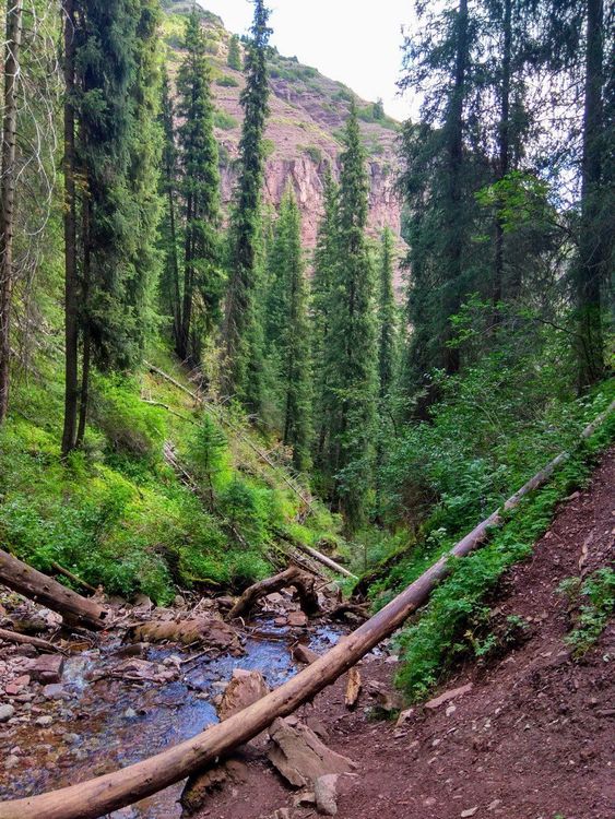 50 оттенков Киргизии. Тур по главным природным красотам.