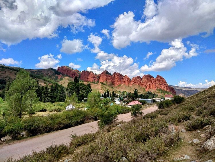 Маковые поля Киргизии. Весенний тур на озеро Иссык-Куль.