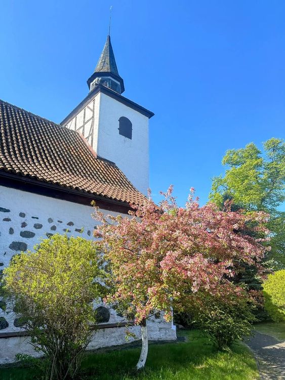 Тур в Калининград на 6 дней — замки и кирхи Восточной Пруссии