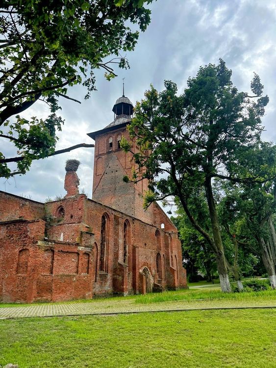 Тур в Калининград на 3 дня: замки и рыцари