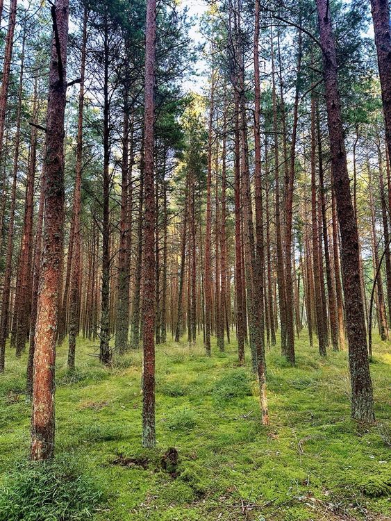 Тур в Калининград на 3 дня: морские истории