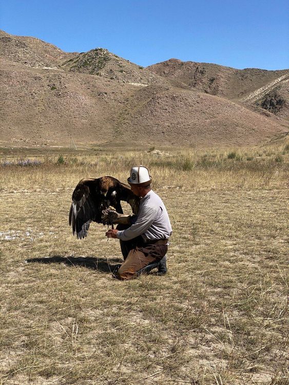 Всемирные Игры Кочевников 2026 — тур в Кыргызстан
