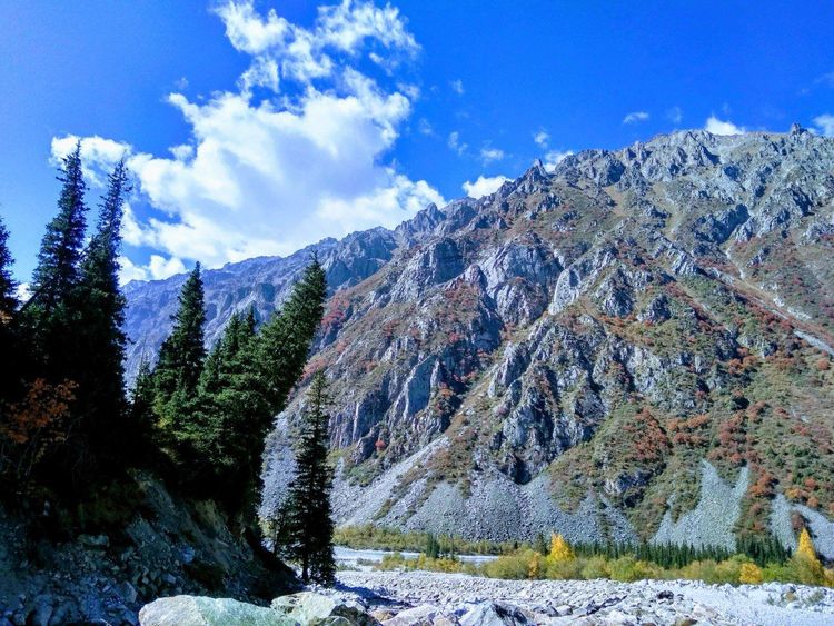 Экскурсия в Ала-Арчу и Чункурчак на 1 день