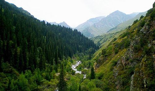 Выезд в Ала-Арчу и экскурсия по Бишкеку с посещением Музея