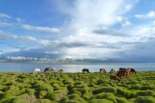 Сон-Куль и Иссык-Куль - два озера Киргизии в одном туре